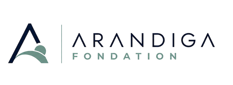 A. Foundation